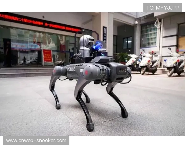智能机器犬投入实战应用,执行高危环境巡检任务 智能机器犬投入实战应用,执行高危环境巡检任务